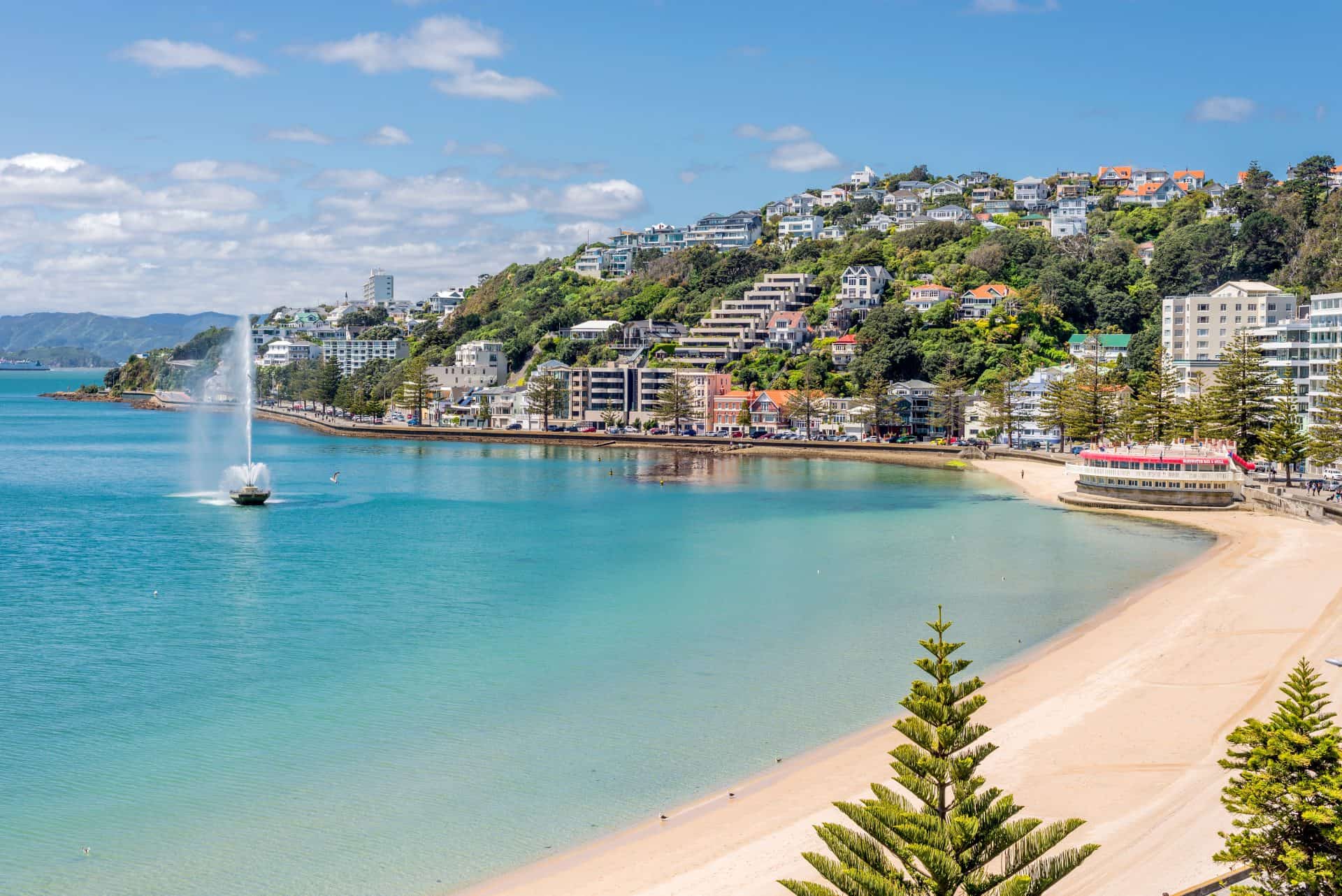 Wellington's Oriental Bay on a clear spring day